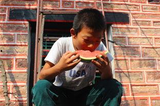 拍完吃瓜,揭秘娱乐圈幕后真相