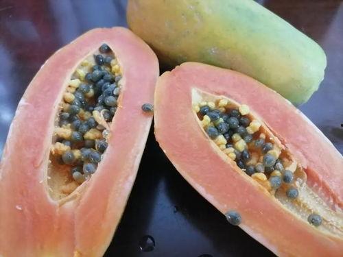 吃瓜备用线路,轻松应对突发状况的应急攻略