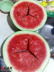 吃瓜吃出奔驰,揭秘瓜田里的豪华车传奇