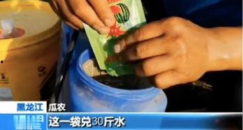 吃瓜肚子里长瓜怎么回事