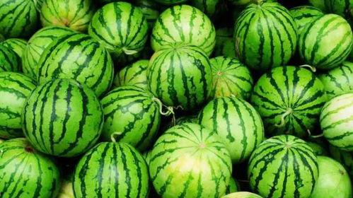 吃瓜代表爆瓜,揭秘娱乐圈幕后风云