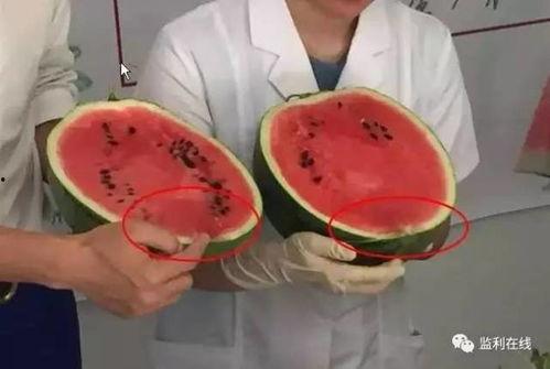 吃瓜打针,一场关于勇气与成长的蜕变之旅