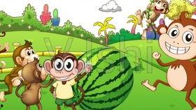 猴子吃瓜不吃皮,揭秘猴子为何偏爱瓜肉舍弃瓜皮