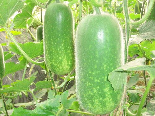 2233吃瓜,揭秘娱乐圈那些不为人知的幕后故事