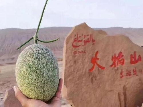 吃瓜熟蜂蜜视频,甜蜜背后的秘密大公开