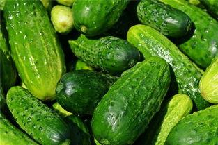 梦见水里找瓜吃,水中寻瓜的奇幻之旅