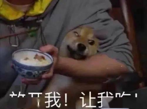 模仿带你吃瓜,跟随模仿带你领略瓜界风云