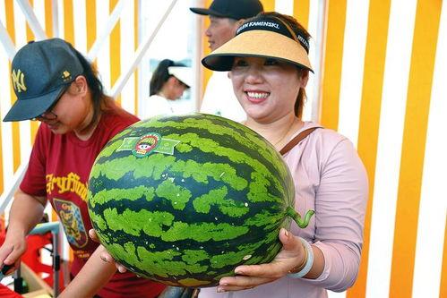 大王吃瓜网,揭秘娱乐圈最新热点,带你领略明星幕后故事