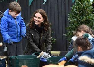 阿基米德吃瓜群众,吃瓜群众的智慧之光