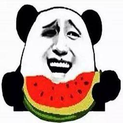 吃瓜群的头像,揭秘网络社交的趣味与魅力