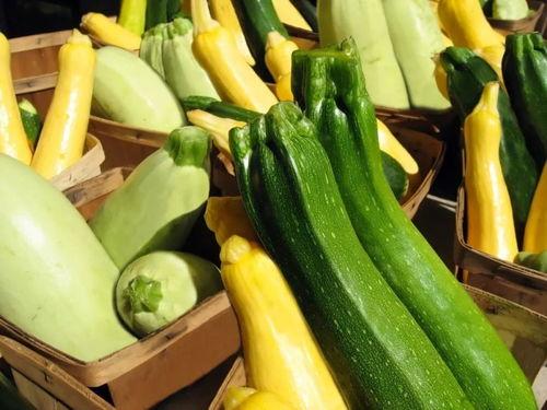 tommy 吃瓜,Tommy的瓜界探险记