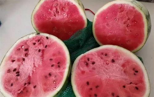 孕妇可以吃压砂瓜,压砂瓜助力母婴健康