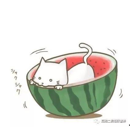 可爱头像吃瓜群众,揭秘网络热议背后的趣味人生